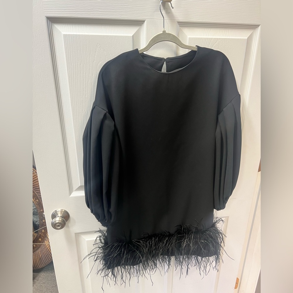 Elegant Black Feather Trim Dress